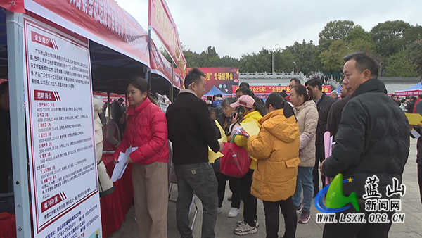 湘粤携手省际劳务协作招聘会 助力职场新机遇1.jpg