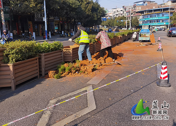 蓝山县城市管理和综合执法局及时维护损毁花箱保畅通.jpg