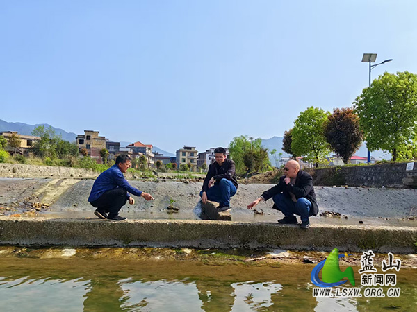 蓝山：监督护春耕 一渠清水畅民心.jpg