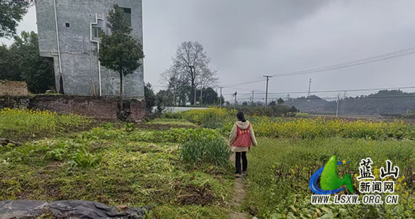 祠堂圩镇开展禁种踏查 筑牢乡村禁毒防线.jpg