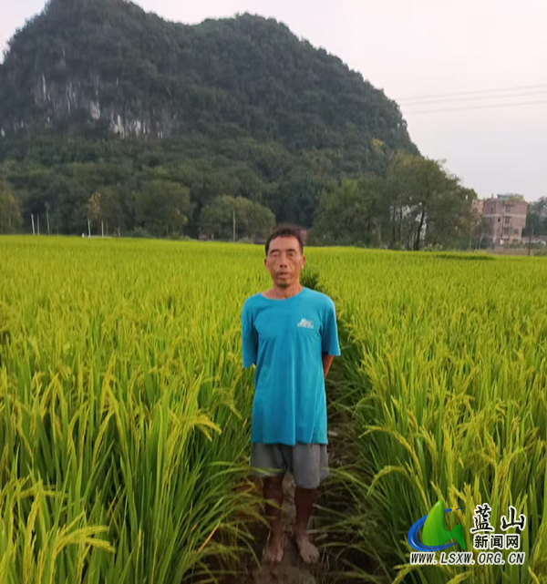 祠堂圩镇蓝屏村：落实到户产业奖补政策，激活乡村振兴“一池春水”.jpg