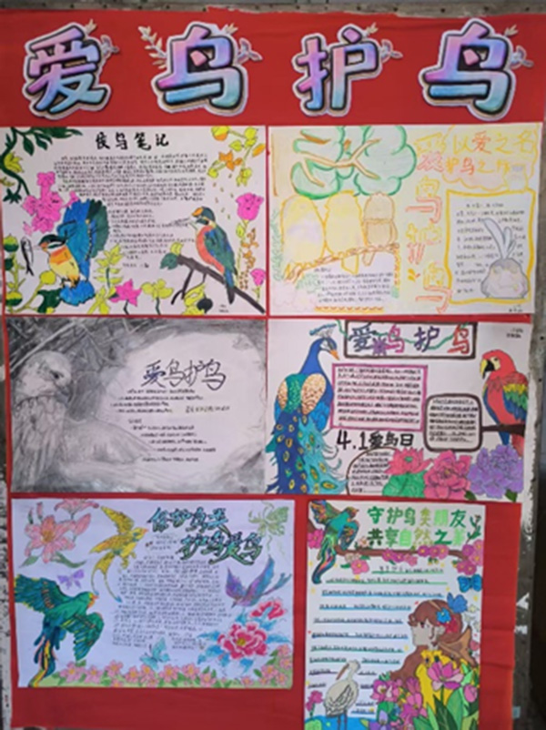蓝山县各中小学开展“市鸟”知识进校园宣传活动（一）2.jpg