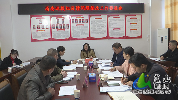 我县召开省委巡视组反馈涉发改部门问题整改工作推进会.jpg