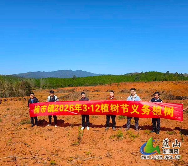 楠市镇:“植”此青绿正当时 油茶造林促振兴.jpg 楠市镇:“植”此青绿正当时 油茶造林促振兴.jpg