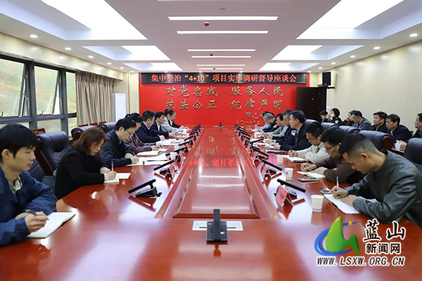 王中滨调研督导“4+10”项目实事集中整治工作.jpg 王中滨调研督导“4+10”项目实事集中整治工作.jpg