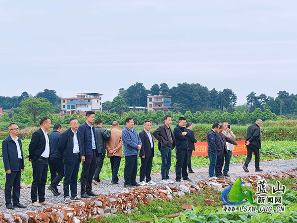 永州市烤烟大田管理现场督促会在蓝山县新圩镇上清涵村召开.jpg 永州市烤烟大田管理现场督促会在蓝山县新圩镇上清涵村召开.jpg