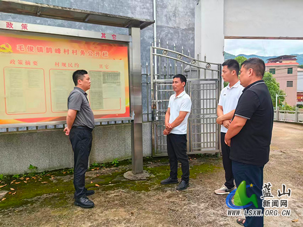 蓝山县纪委监委到毛俊镇、新圩镇督导集中整治工作.jpg
