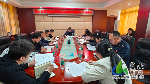 蓝山县召开医保基金管理突出问题专项整治工作调度会.jpg